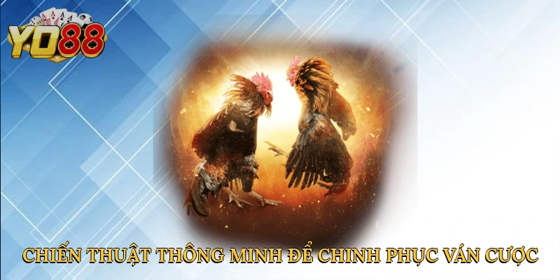 chien-thuat-thong-minh-de-chinh-phuc-van-cuoc