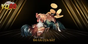 da-ga-cua-sat