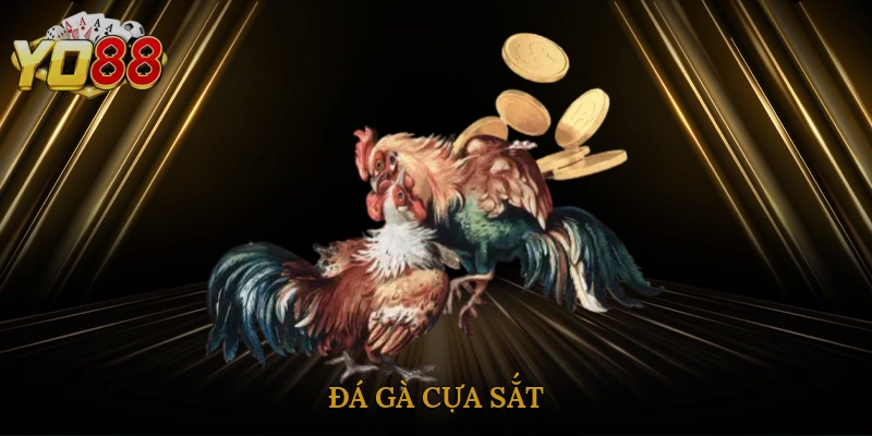 da-ga-cua-sat