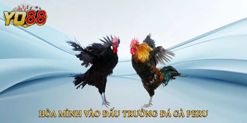 hoa-minh-vao-dau-truong-da-ga-peru