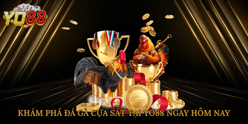 kham-pha-da-ga-cua-sat-tai-yo88-ngay-hom-nay