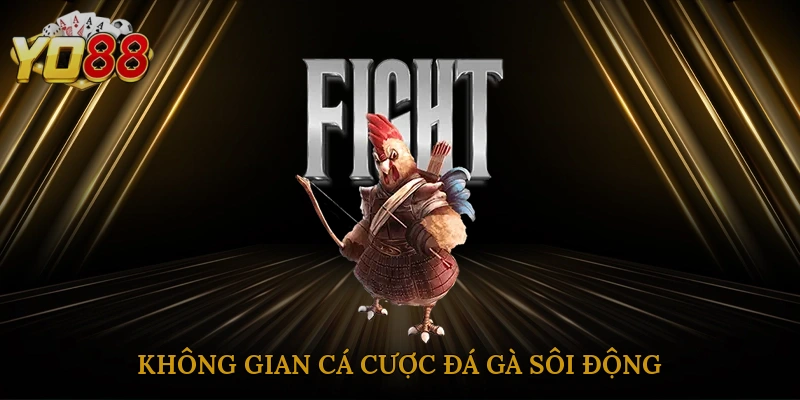 khong-gian-ca-cuoc-da-ga-soi-dong