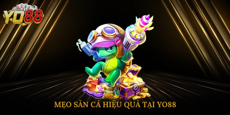 meo-san-ca-hieu-qua-tai-yo88