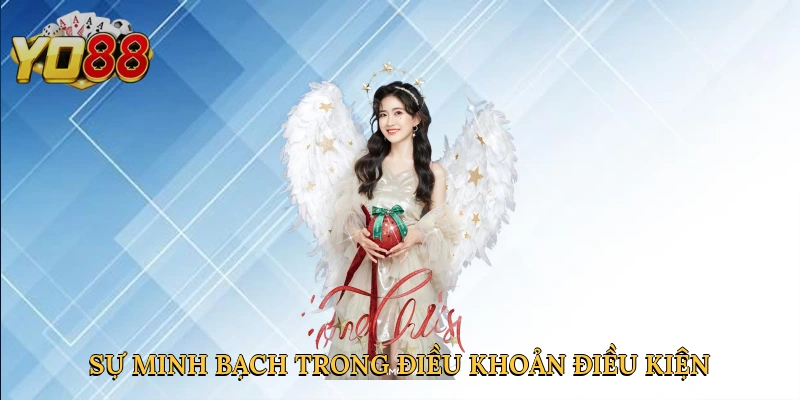 su-minh-bach-trong-dieu-khoan-dieu-kien