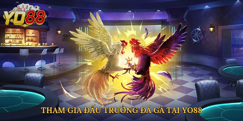 tham-gia-dau-truong-da-ga-tai-yo88