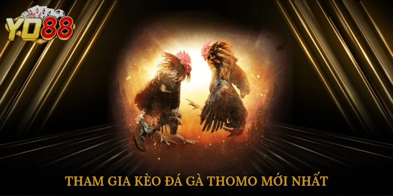 tham-gia-keo-da-ga-thomo-moi-nhat